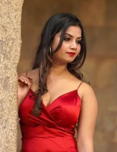 call girl service in P Nagar